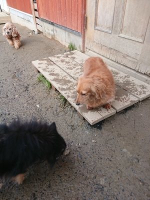 f:id:roukenhome-ann:20190116072313j:plain