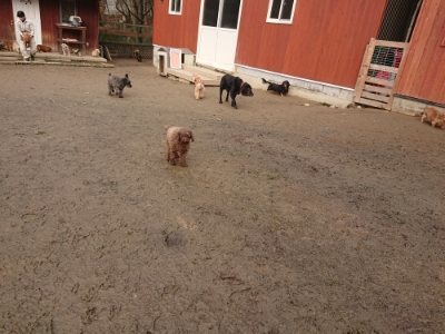 f:id:roukenhome-ann:20190116072459j:plain