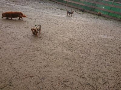 f:id:roukenhome-ann:20190116072510j:plain
