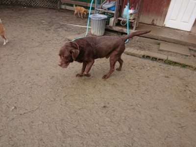 f:id:roukenhome-ann:20190116203755j:plain