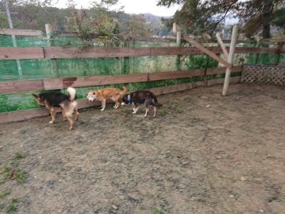f:id:roukenhome-ann:20190116203844j:plain