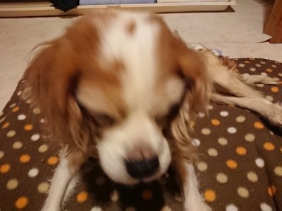 f:id:roukenhome-ann:20190116203956j:plain