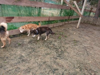 f:id:roukenhome-ann:20190116204020j:plain