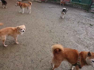 f:id:roukenhome-ann:20190116204417j:plain