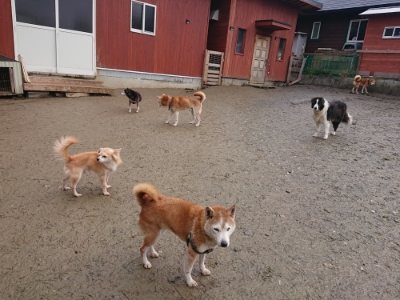 f:id:roukenhome-ann:20190116204436j:plain