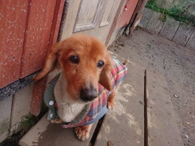 f:id:roukenhome-ann:20190116204503j:plain