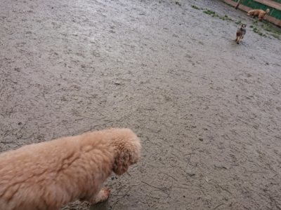 f:id:roukenhome-ann:20190116204518j:plain