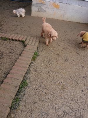 f:id:roukenhome-ann:20190116204537j:plain