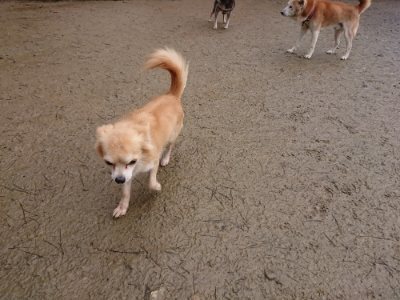 f:id:roukenhome-ann:20190116204548j:plain