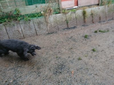 f:id:roukenhome-ann:20190116204829j:plain