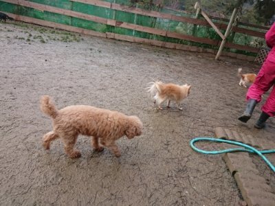 f:id:roukenhome-ann:20190116204834j:plain
