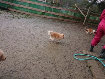 f:id:roukenhome-ann:20190116204856j:plain