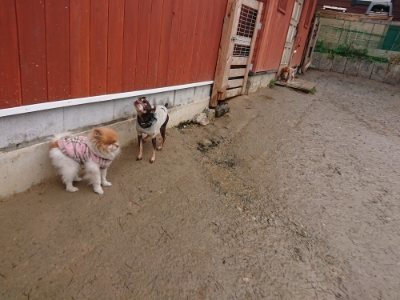 f:id:roukenhome-ann:20190116205155j:plain