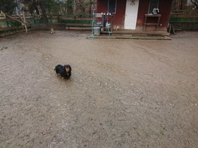 f:id:roukenhome-ann:20190116205807j:plain