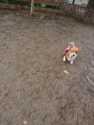 f:id:roukenhome-ann:20190116205812j:plain