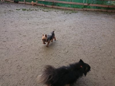 f:id:roukenhome-ann:20190116205838j:plain