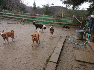 f:id:roukenhome-ann:20190116210103j:plain