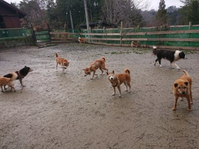 f:id:roukenhome-ann:20190116210158j:plain