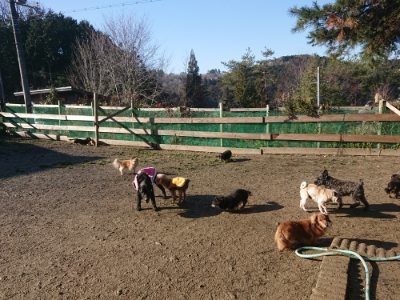 f:id:roukenhome-ann:20190118052115j:plain