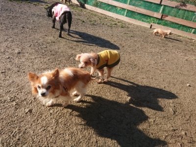 f:id:roukenhome-ann:20190118052354j:plain