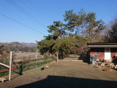 f:id:roukenhome-ann:20190118052611j:plain