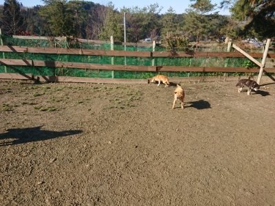 f:id:roukenhome-ann:20190118052730j:plain