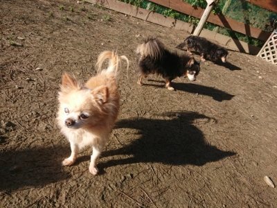 f:id:roukenhome-ann:20190118052824j:plain