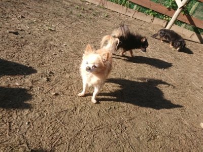 f:id:roukenhome-ann:20190118052921j:plain