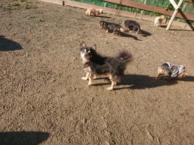f:id:roukenhome-ann:20190118052931j:plain