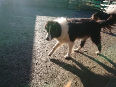 f:id:roukenhome-ann:20190118074753j:plain