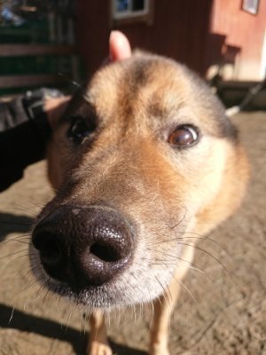 f:id:roukenhome-ann:20190118075027j:plain