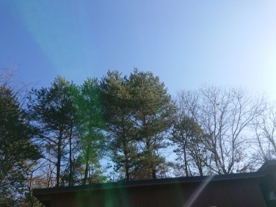 f:id:roukenhome-ann:20190118075331j:plain
