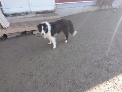 f:id:roukenhome-ann:20190118075341j:plain