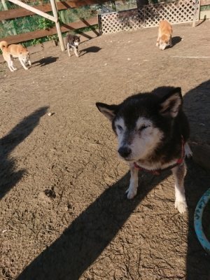 f:id:roukenhome-ann:20190118075449j:plain