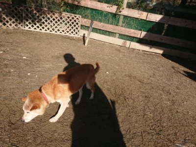f:id:roukenhome-ann:20190118075453j:plain