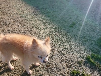 f:id:roukenhome-ann:20190118075614j:plain