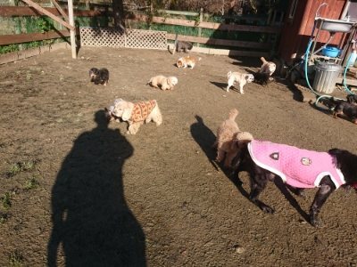 f:id:roukenhome-ann:20190118075618j:plain