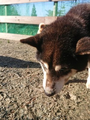 f:id:roukenhome-ann:20190118075646j:plain