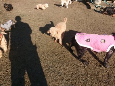 f:id:roukenhome-ann:20190118080218j:plain f:id:roukenhome-ann:20190118080218j:plain