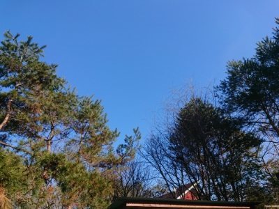 f:id:roukenhome-ann:20190118080234j:plain f:id:roukenhome-ann:20190118080234j:plain