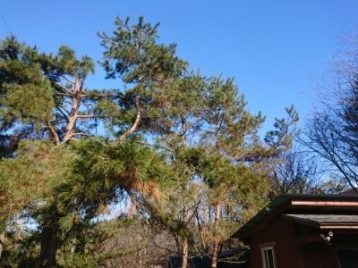 f:id:roukenhome-ann:20190118080239j:plain f:id:roukenhome-ann:20190118080239j:plain