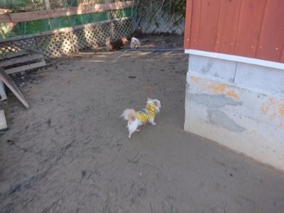 f:id:roukenhome-ann:20190118080304j:plain f:id:roukenhome-ann:20190118080304j:plain