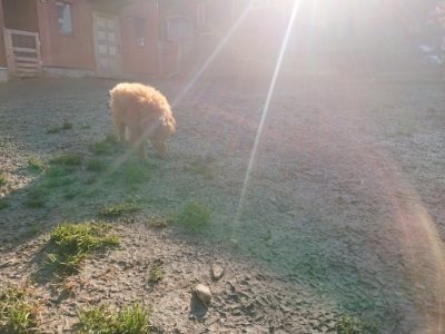 f:id:roukenhome-ann:20190118080357j:plain f:id:roukenhome-ann:20190118080357j:plain