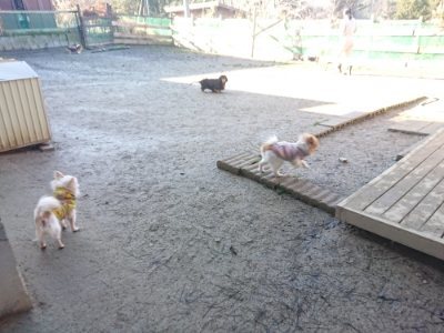 f:id:roukenhome-ann:20190118080457j:plain f:id:roukenhome-ann:20190118080457j:plain