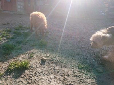 f:id:roukenhome-ann:20190118080503j:plain f:id:roukenhome-ann:20190118080503j:plain