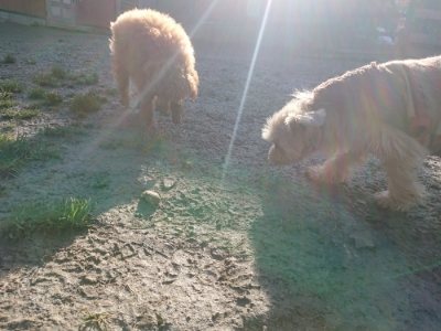 f:id:roukenhome-ann:20190118080507j:plain f:id:roukenhome-ann:20190118080507j:plain