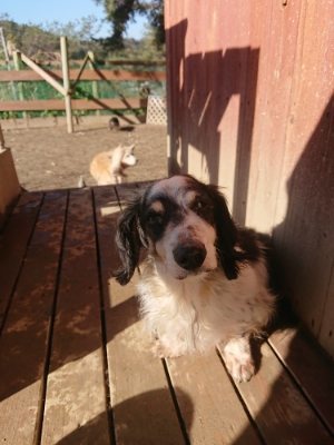 f:id:roukenhome-ann:20190118080530j:plain f:id:roukenhome-ann:20190118080530j:plain