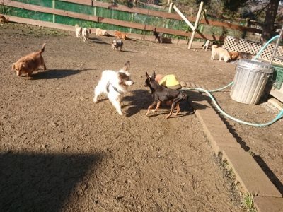 f:id:roukenhome-ann:20190118082832j:plain f:id:roukenhome-ann:20190118082832j:plain