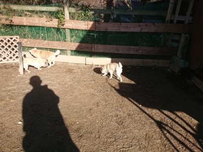f:id:roukenhome-ann:20190118083208j:plain f:id:roukenhome-ann:20190118083208j:plain