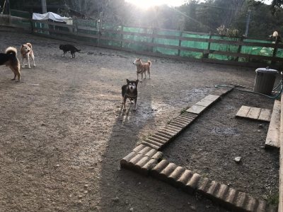 f:id:roukenhome-ann:20190118083352j:plain f:id:roukenhome-ann:20190118083352j:plain